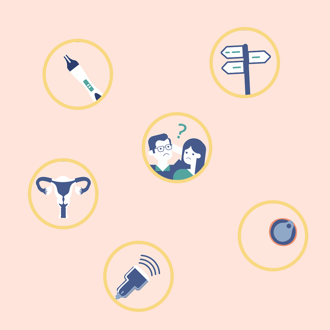 Icons und Illustrationen fertility.ch