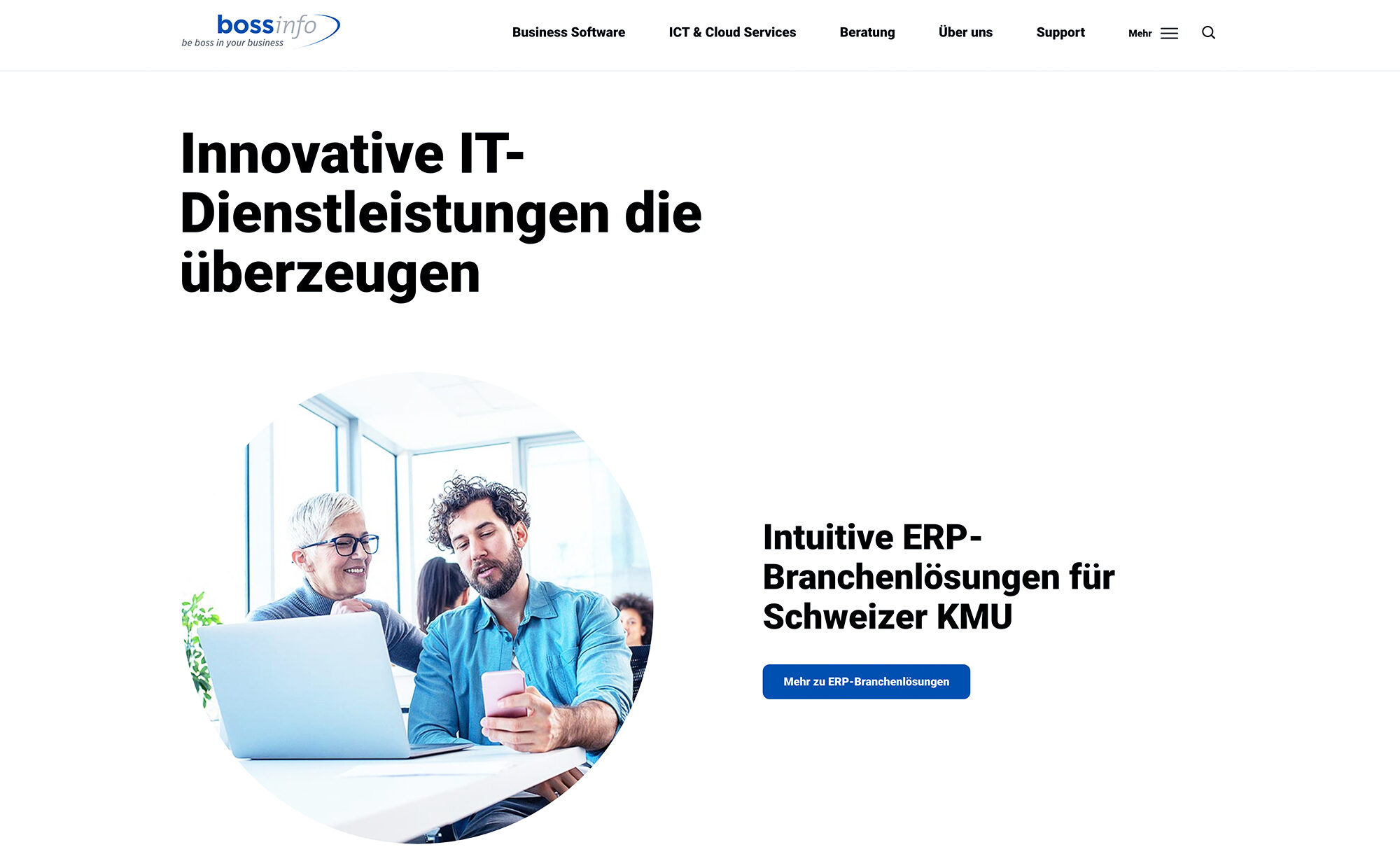 Innovative IT-Dienstleistungen - Bossinfo.ch AG, bossinfo.ch Website Screenshot