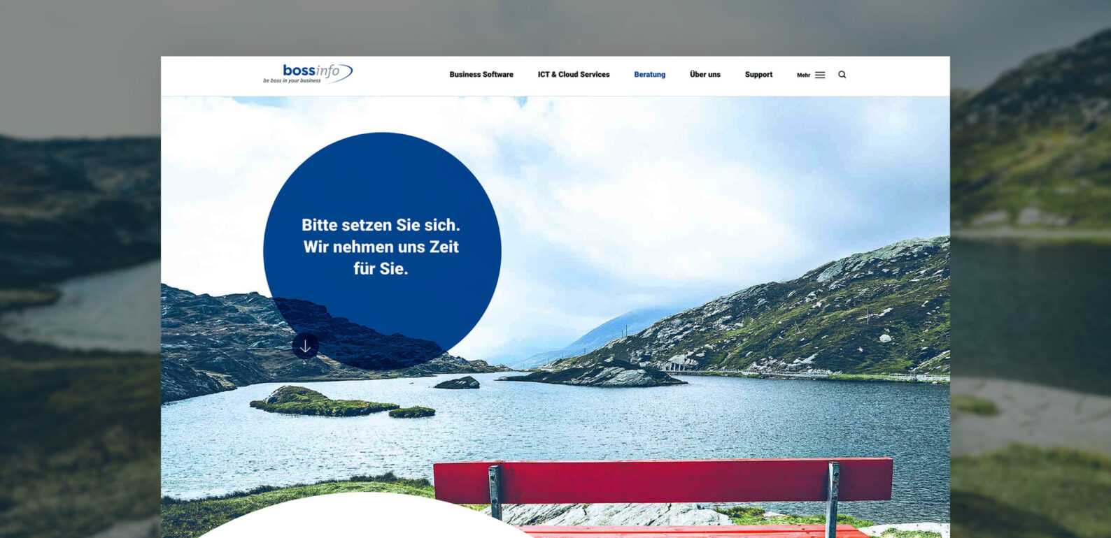 Wir nehmen uns Zeit für Sie - Bossinfo.ch AG, bossinfo.ch Screenshot