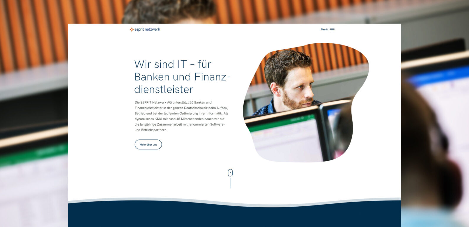 IT für Banken und Finanzdienstleister - Esprit Netzwerk AG, Website